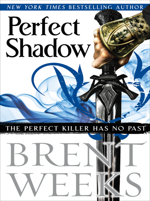 Title details for Perfect Shadow by Brent Weeks - Wait list